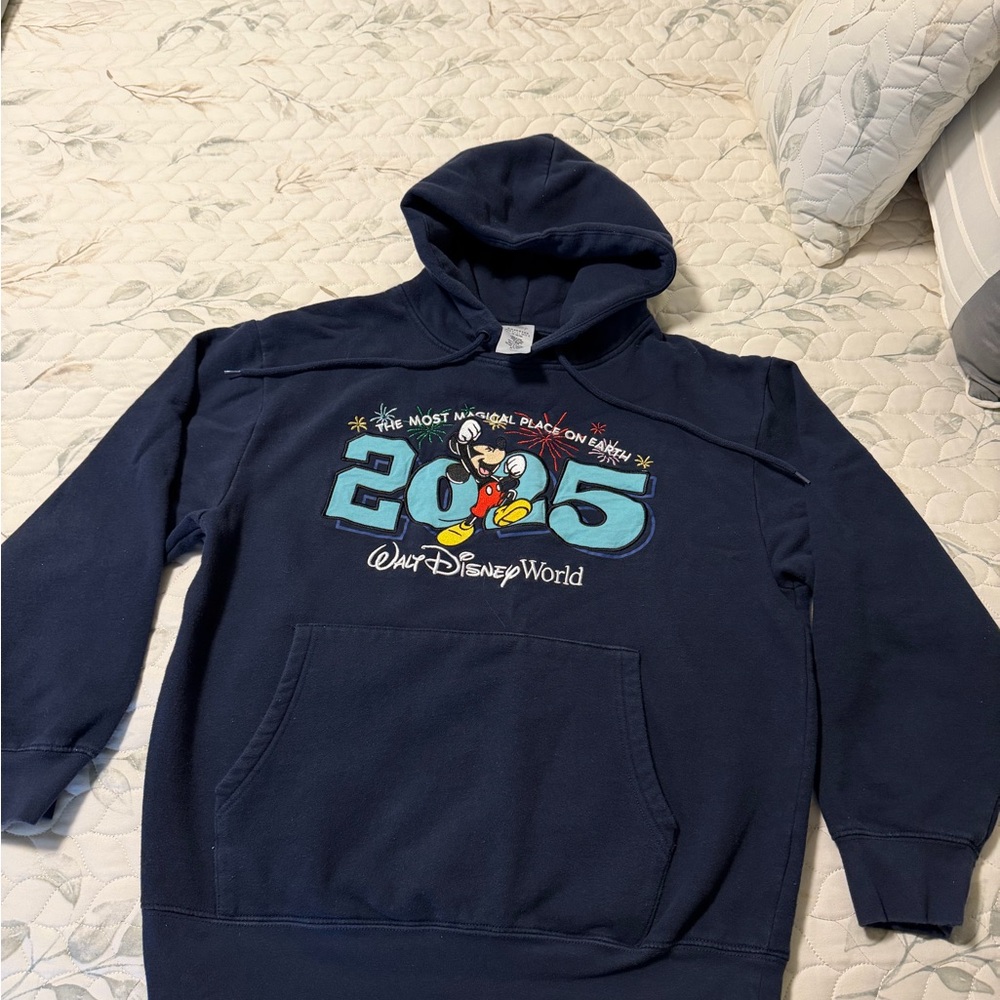 Walt Disney World 2025 Navy Hoodie